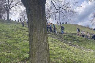 Święto Rękawki w Krakowie