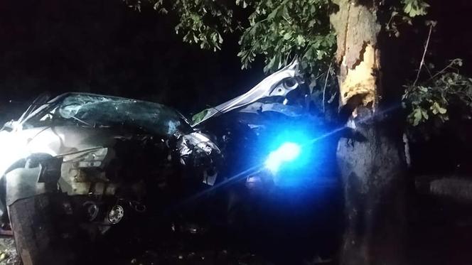 Koszmarny wypadek pod Płockiem! 30-latek zakleszczony w skodzie po uderzeniu w drzewo [ZDJĘCIA]