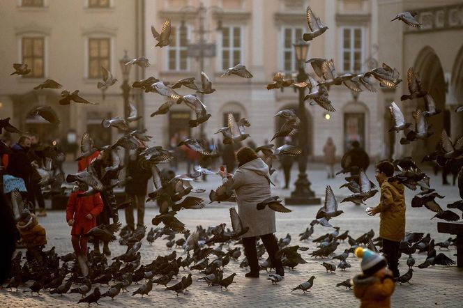Najpiękniejsze starówki świata. Kraków wygrywa