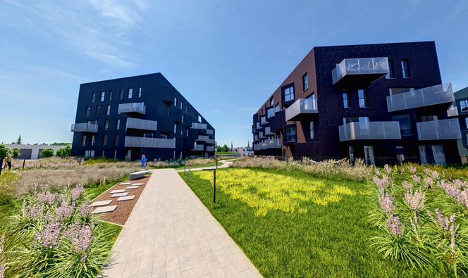 W Katowicach powstaje osiedle przypominające podwórka z dawnych lat. 342 mieszkania