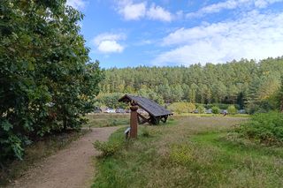 Zaczarowany ogród Alicji w Krainie Czarów i ścieżka spacerowa w lesie. Leśny Ogród Botaniczny Marszewo