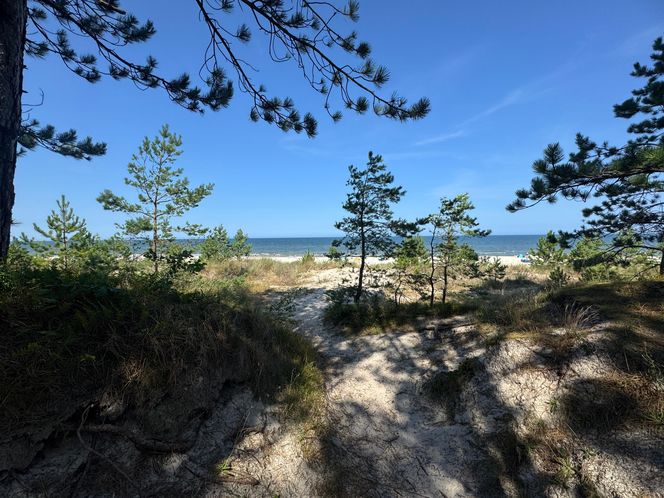 Plaża Karwia