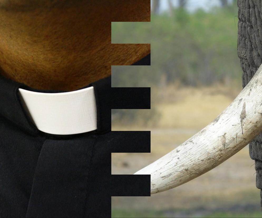 Dwaj księża zatrzymani przez policję! W Szczytnie próbowali sprzedać kość słoniową