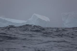 SELMA Rejs Trawers Shackletona - pierwsze góry lodowe, fot. SelmaExpeditions