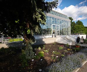 Nowa oranżeria w Ogrodzie Botanicznym UJ. Zastąpiła poprzedniczkę z XIX wieku 