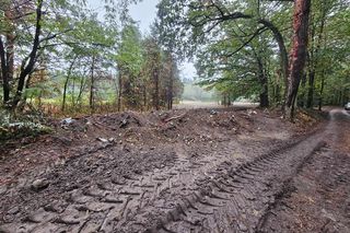 kto odpowiada za śmieci w lesi