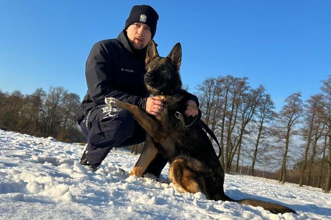 Nowych pomocników mają małopolscy policjanci.  To Szejk i Skala