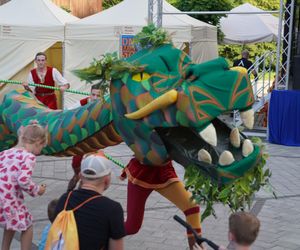 Dni Jastrzębia-Zdroju 2024. Tak bawili się mieszkańcy!