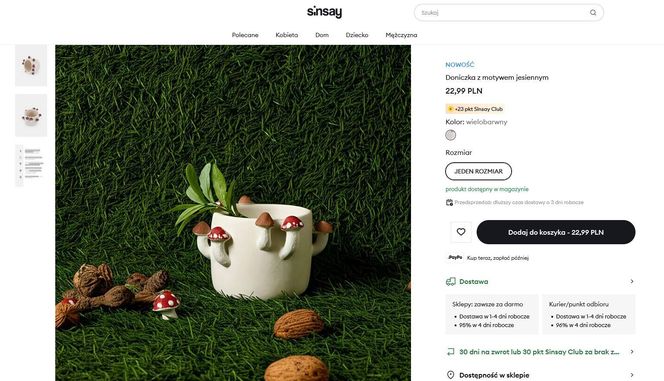 Jesień w Sinsay 2025