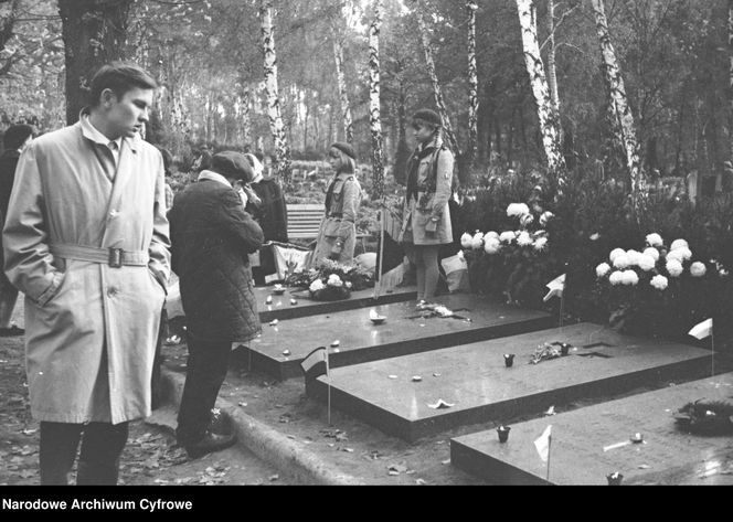 Cmentarze Powązkowskie - 1946-1963