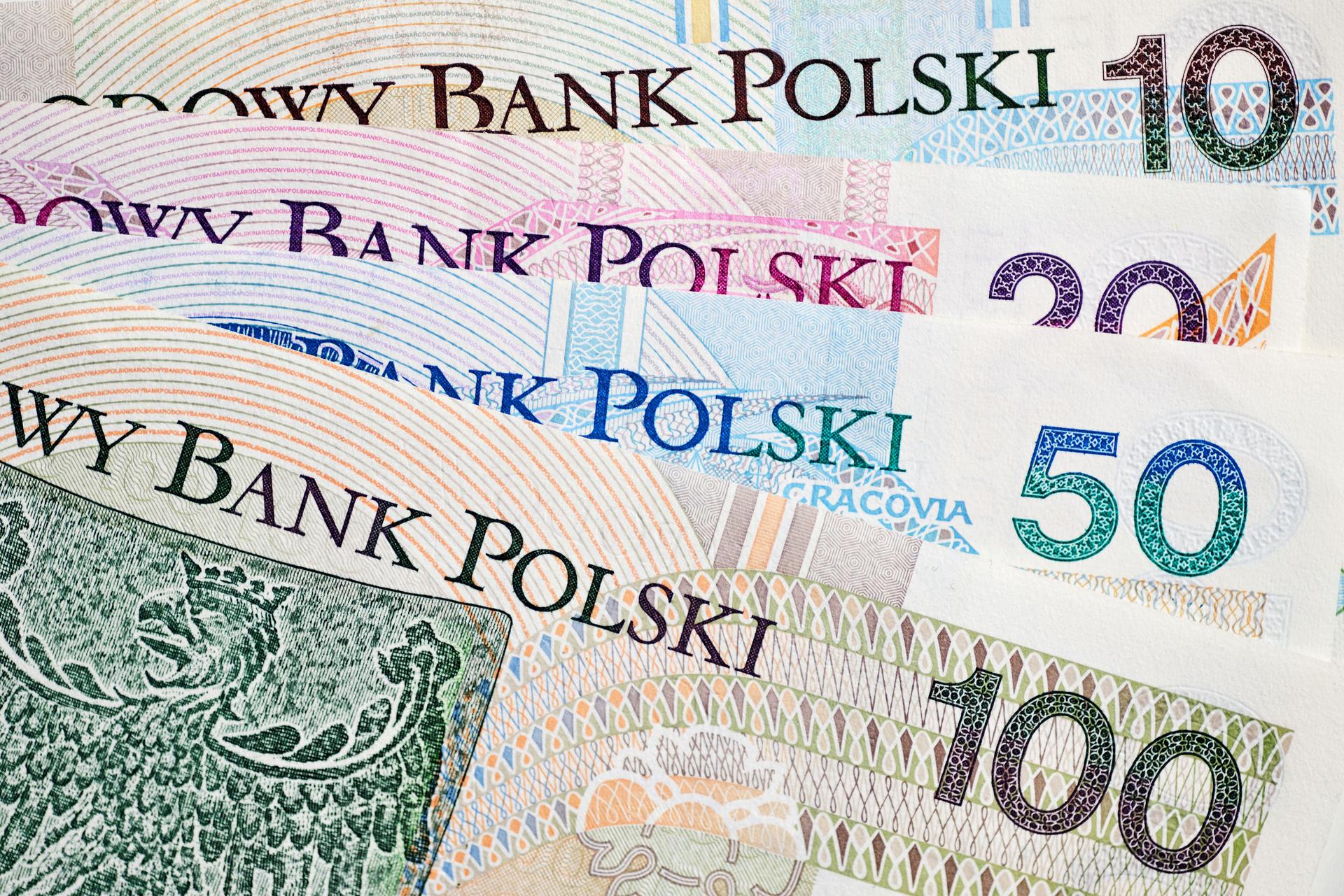 Курс злотый белорусский рубль. Злотый к рублю. Polish currency.