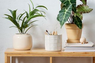 JYSK - osłonki na doniczki