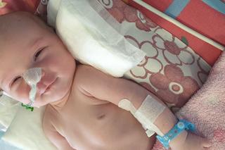 Przejechali całą Polskę dla chorej Wikusi. Akcja Rowerami na Hel to nie koniec! Teraz rusza Kasia na Hondzie 