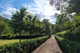Arboretum Bramy Morawskiej zachwyca jesienią