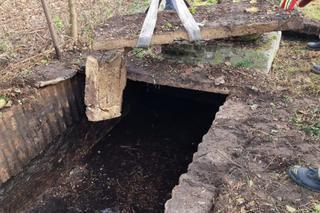 Lubelscy strażacy musieli wyciągnąć z szamba...konia.  Zdjęcia robią wrażenie!