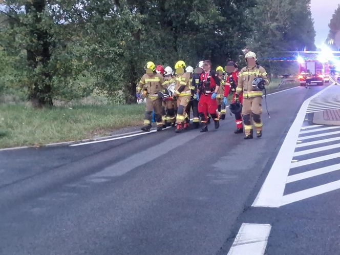 Przytoczna. Śmiertelny wypadek na DK 24. 49-latek nie żyje [ZDJĘCIA].