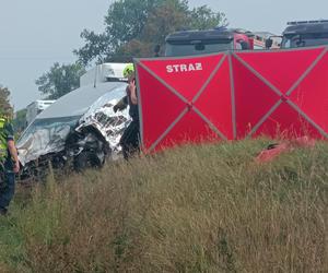 : Mama zginęła w wypadku, dziecko z urazem głowy trafiło do szpitala. Tragiczny finał brawurowej jazdy na trasie do Warszawy