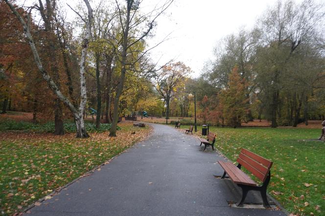 Park Sołacki jesienią