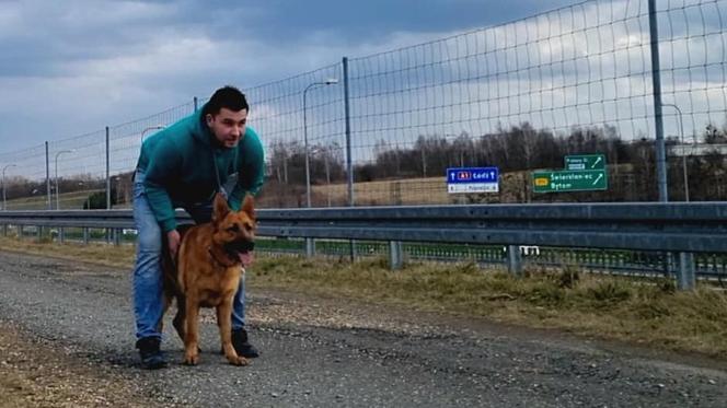 Tomek Gorzędowski w podróż do Skandynawii...z psem
