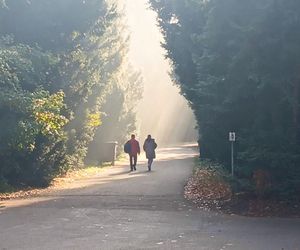 Przygotowania do 1 listopada na Cmentarzu Centralnym w Szczecinie