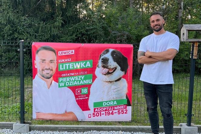 Łukasz Litewka umieścił na banerach wyborczych psy do adopcji