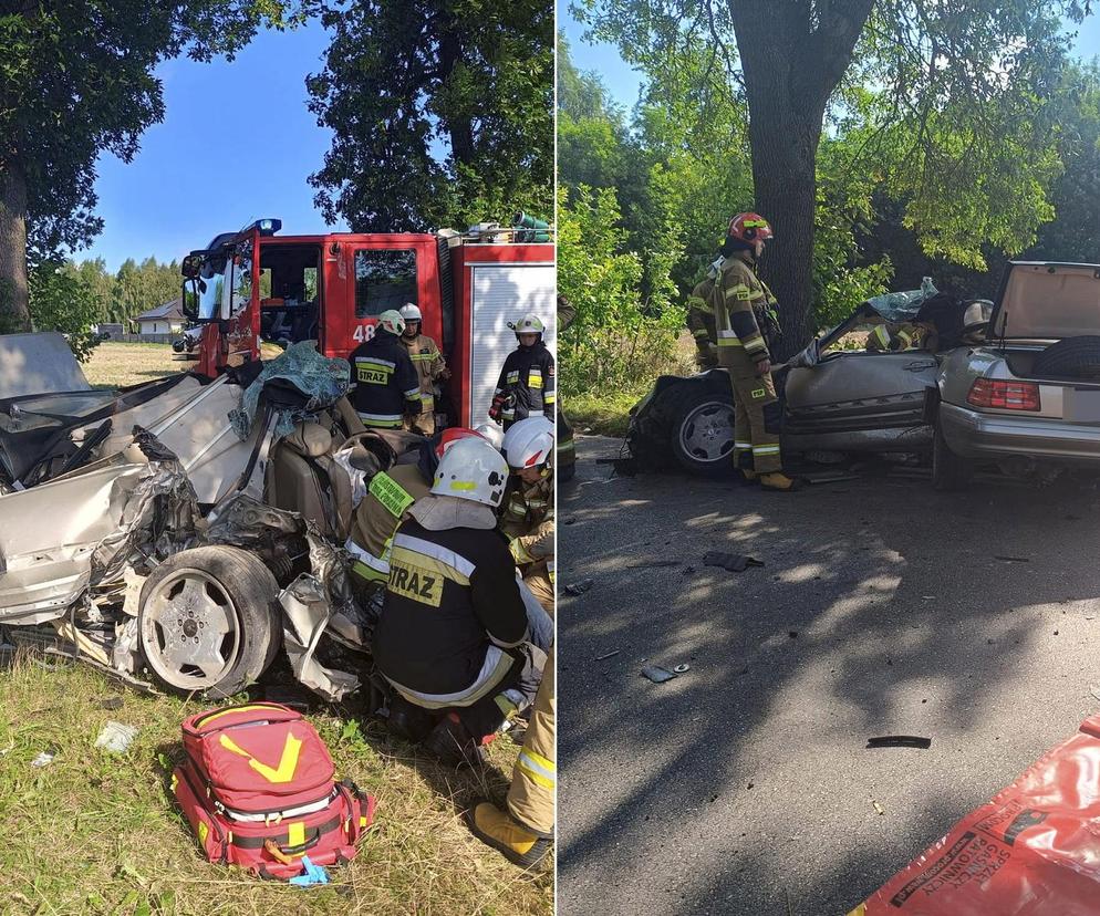 Wypadek pod Pabianicami. Mercedes rozpadł się na pół po uderzeniu w drzewo [ZDJĘCIA].