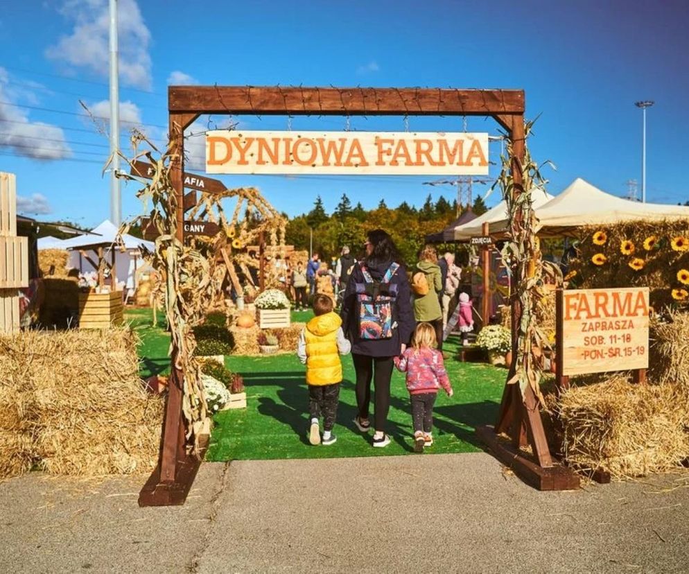 Farma Dyniowa w samym centrum miasta! Na odwiedzających czekać będzie wiele rozmaitych atrakcji