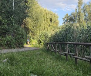 Zielona perła Bartodziejów. Odkryj uroki bydgoskiego Balatonu