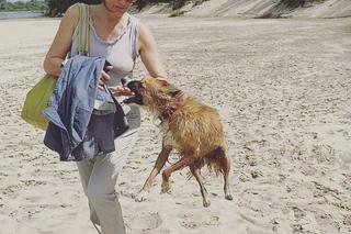 Małgorzata Pieczyńska (Aleksandra z M jak miłość) na Instagramie i jej pies na spacerze nad Wisłą