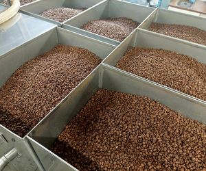 Cukiernia Sowa, linia produkcyjna