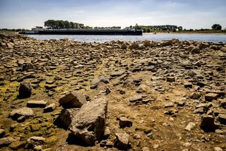 Susza na Renie i Łabie