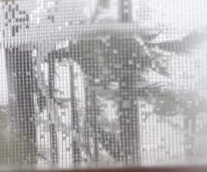 Michał Żebrowski pokazał oko cyklonu! Potworne zniszczenia po Melissie