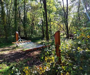 Kraków ma nowy park za ponad 2 miliony zł