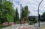 Torowisko tramwajowe na Babiej Wsi w Bydgoszczy zarośnięte chwastami. Tramwaje zniknęły stąd lata temu