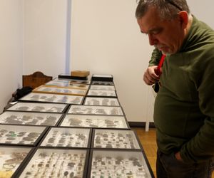 I Międzynarodowy Dzień Wymiany Owadów i Targi Entomologiczne w Bytomiu