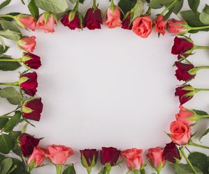 Dzień Teściowej 2025. Wyjątkowe życzenia i śmieszne wierszyki dla teściowej [5.03.2025]