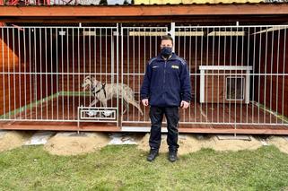 Pies w straży miejskiej