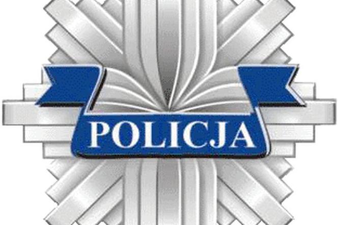 Logo policji