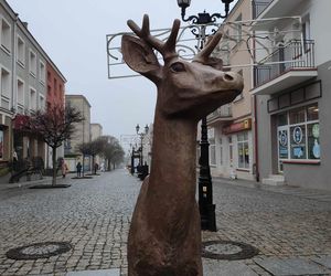 Jelonek stanął przy fontannie na ul. Długiej! Nowa atrakcja turystyczna Łomży poleca się do robienia zdjęć