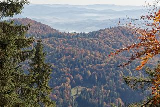 To miejsce w Małopolsce najpiękniej wygląda późną jesienią według AI. Ma status kultowego