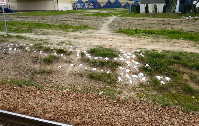 Gęsta smoła na peronie PKP Służewiec