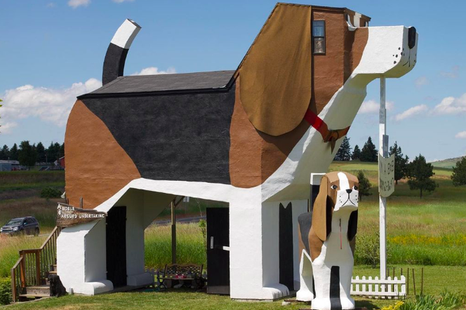 Dog Bark Inn, USA