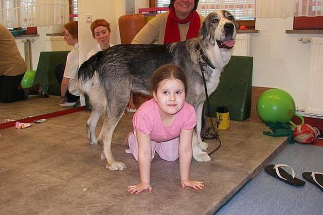 Dogoterapia