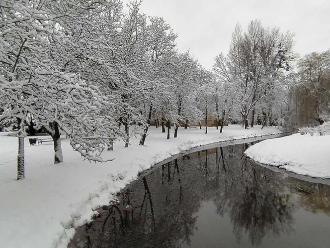 Zima w Węgorzewie 2024. Mazurskie miasto pod grubą warstwą białego puchu [ZDJĘCIA]