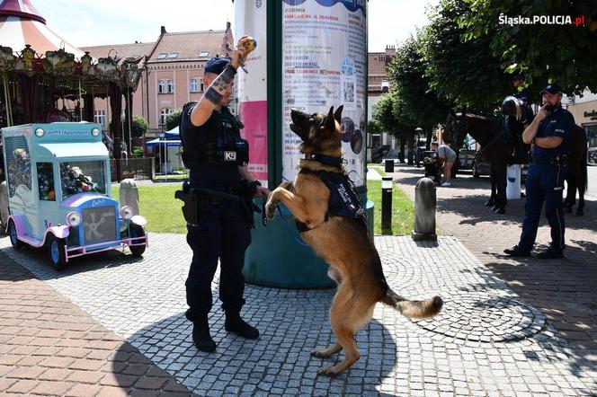 Wojewódzkie Obchody Święta Policji w Żorach 2024