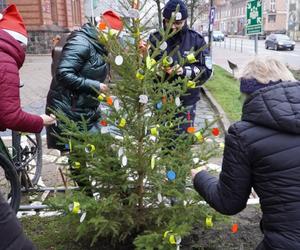 Pod Komendą Miejską Policji w Olsztynie stanęła oryginalna choinka. Każdy może ją rozebrać [ZDJĘCIA]