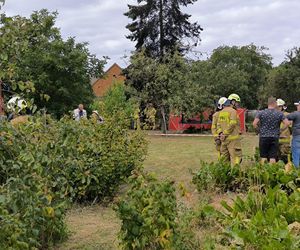 Awionetka spadła na ziemię w Wielkopolsce. Dwie osoby nie żyją