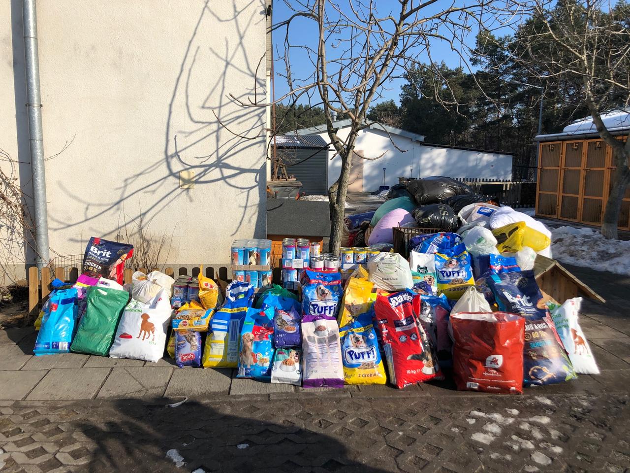 Prawie 800 kg karmy dla czworonogów. Podsumowanie zbiórki dla schroniska