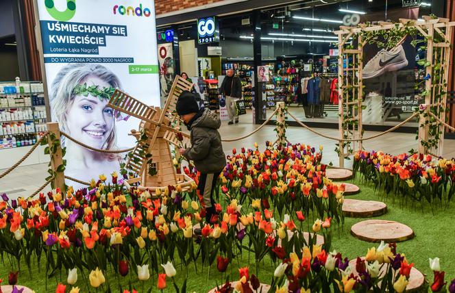 W puli nagród znalazły się między innymi rowery miejskie oraz akcesoria sportowe i piknikowe.