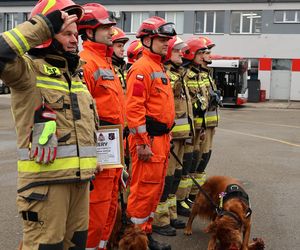 Czworonożni funkcjonariusze przeszli na emeryturę. Jagger i Jerry ratowali ludzi po trzęsieniu ziemi i katastrofie budowlanej